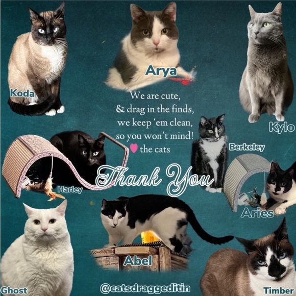 LIVE SHOWS | LIKE THIS POST TO GET NOTIFIED WHEN IM LIVE - Picture 1 of 8